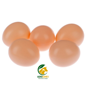 Huevos falsos gallina