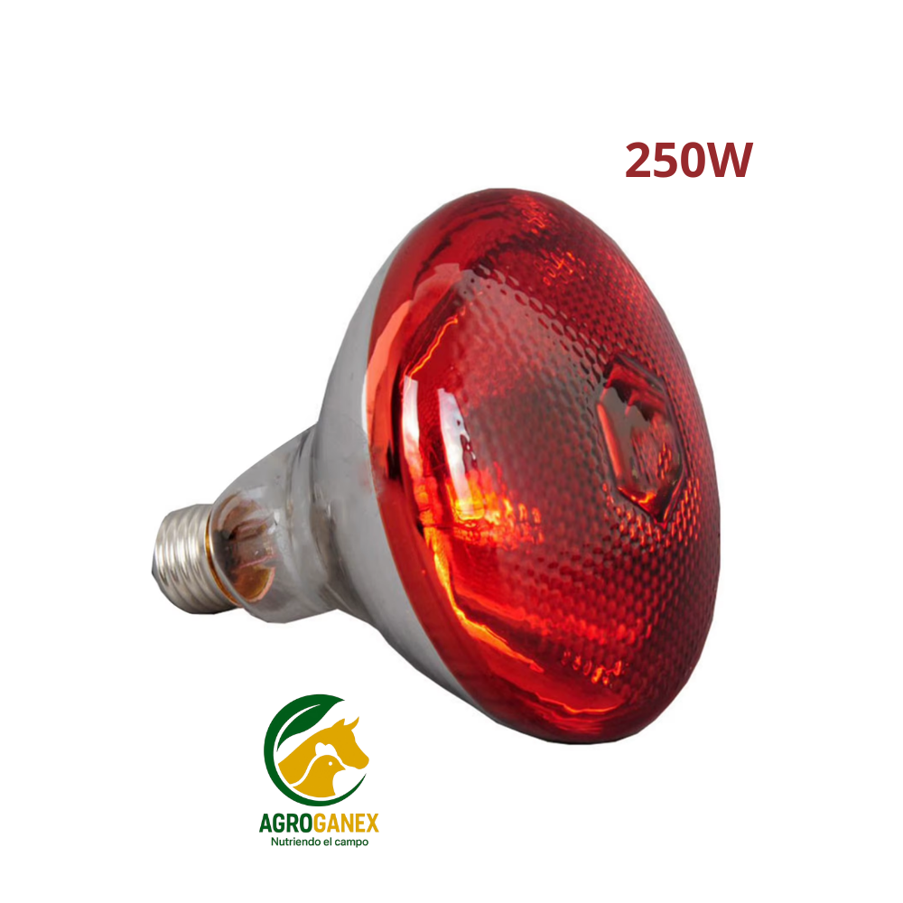 Ampolleta infrarroja 250W
