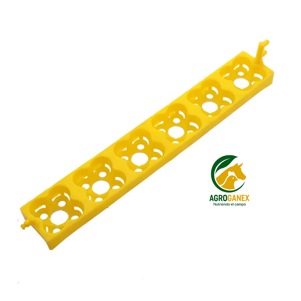 Repuestos de bandeja