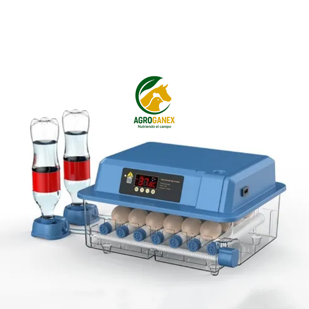 Incubadora de 36 huevos